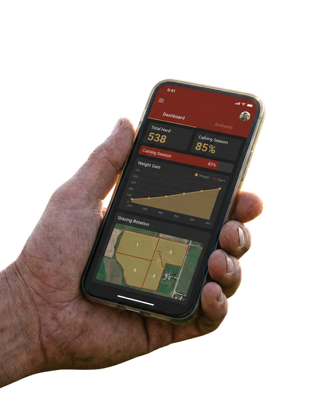 App MyRebanho no smartphone